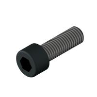 Винт для крепления перовой пластины WS06016 «Русский Инструмент» (РИ)