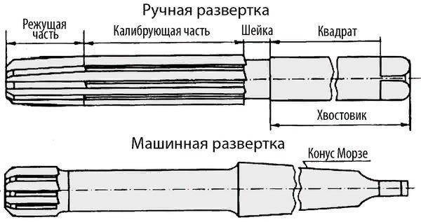 Особенности строения разверток